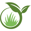 Lake Worth Lawn Clean Up