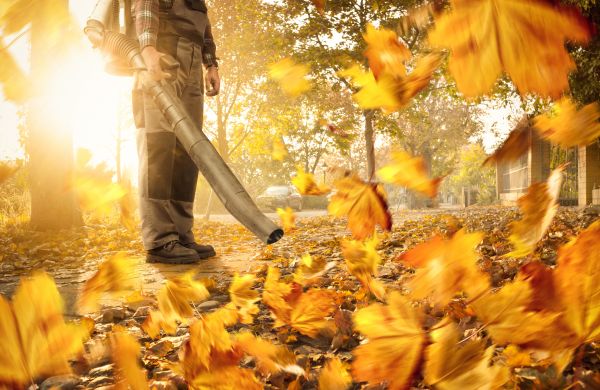 Leaf Blowing Service in Lake Worth