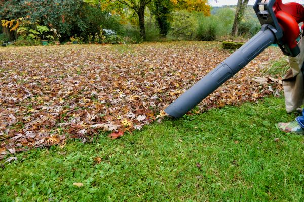 Leaf Vacuuming Service in Lake Worth