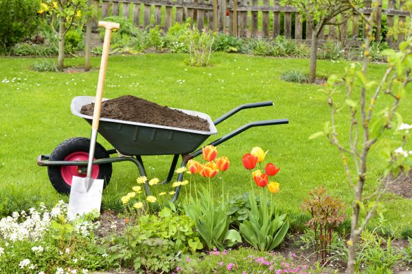 Spring Yard Cleanup in Lake Worth