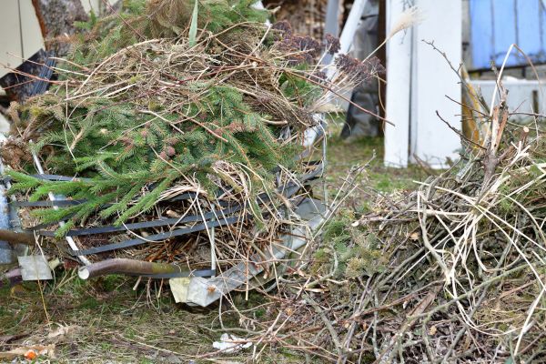 Yard Waste Removal Service in Lake Worth