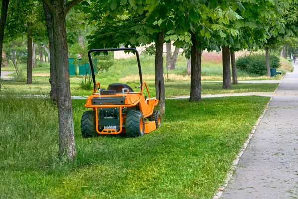 Landscaping Cleanup Service in Lake Worth