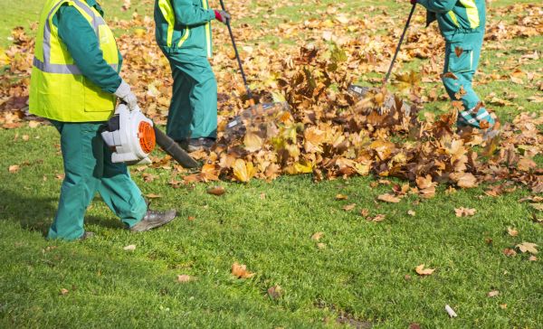 Leaf Maintenance in Lake Worth