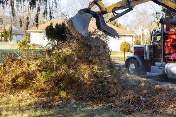 Storm Debris Removal in Lake Worth