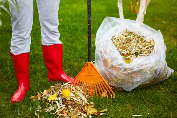 Leaf Disposal Service in Lake Worth