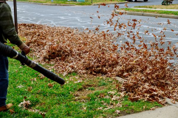 Garden Leaf Removal in Lake Worth