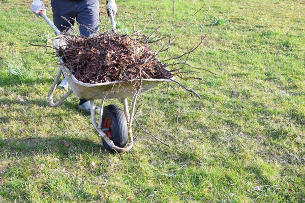 Yard Brush Removal in Lake Worth