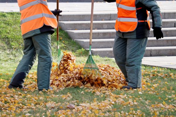 Leaf Hauling Service in Lake Worth
