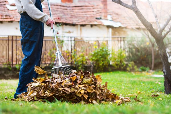 Spring Lawn Cleanup in Lake Worth