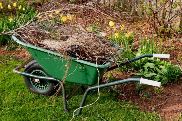 Lawn Waste Removal in Lake Worth