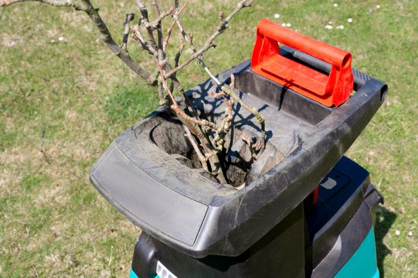 Brush Cleanup Service in Lake Worth