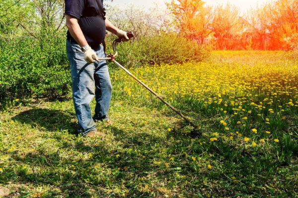 Yard Clearing Service in Lake Worth