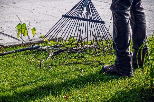 Yard Debris Cleanup in Lake Worth