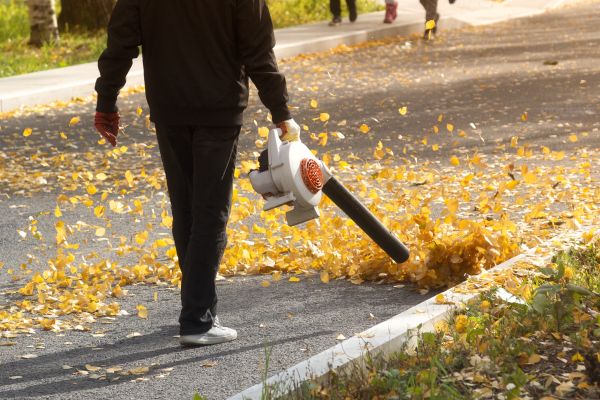 Commercial Leaf Removal in Lake Worth