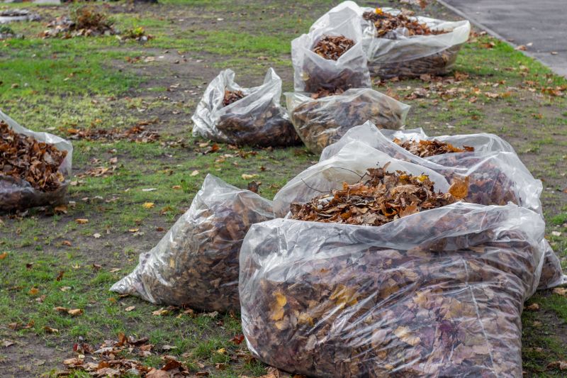 Collected Leaves in Bags